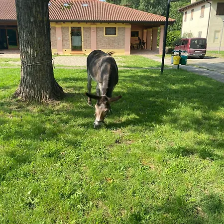 Nocleg ze śniadaniem La Rizza 3*