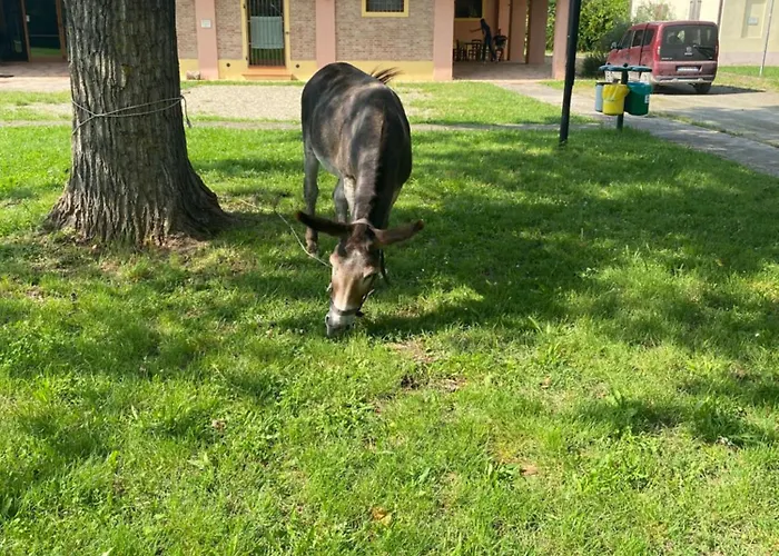 Bed & Breakfast La Rizza 3*